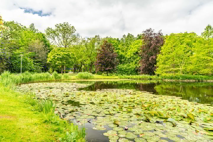 Foto 73 van Leidseweg 45