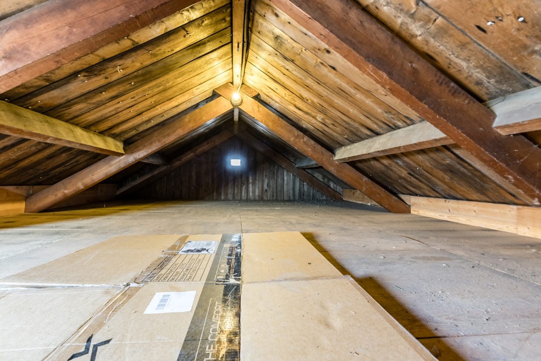 Foto 32 van Ooievaarstraat 25