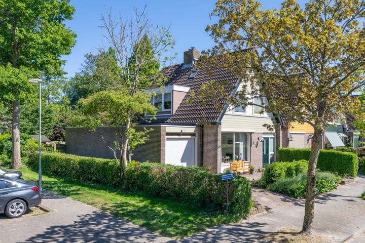 Foto 2 van Roerdomp 10