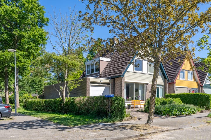 Foto 3 van Roerdomp 10