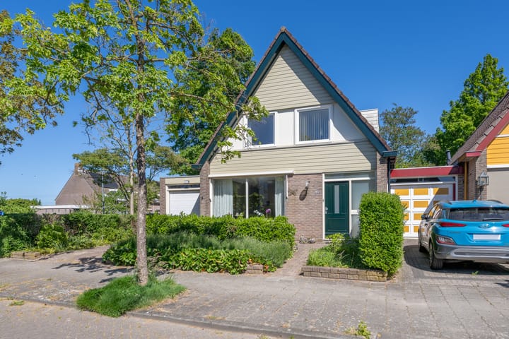 Foto 4 van Roerdomp 10