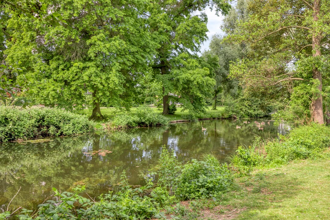 Foto 26 van Diepenbrockstraat 69