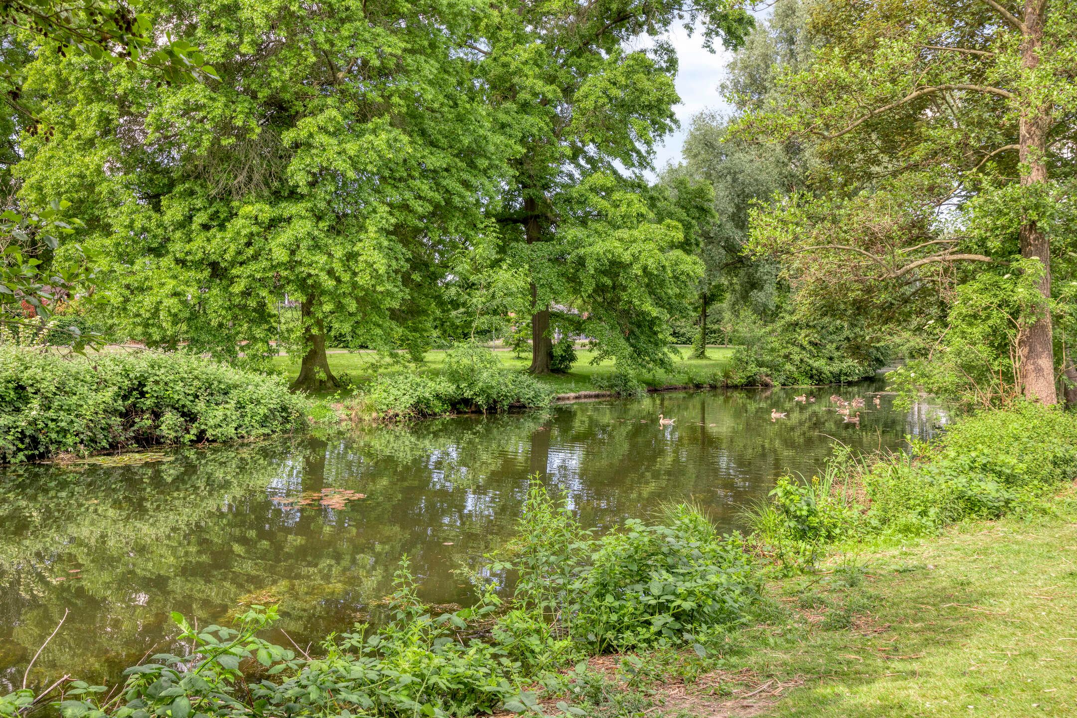 Foto 3 van Diepenbrockstraat 69