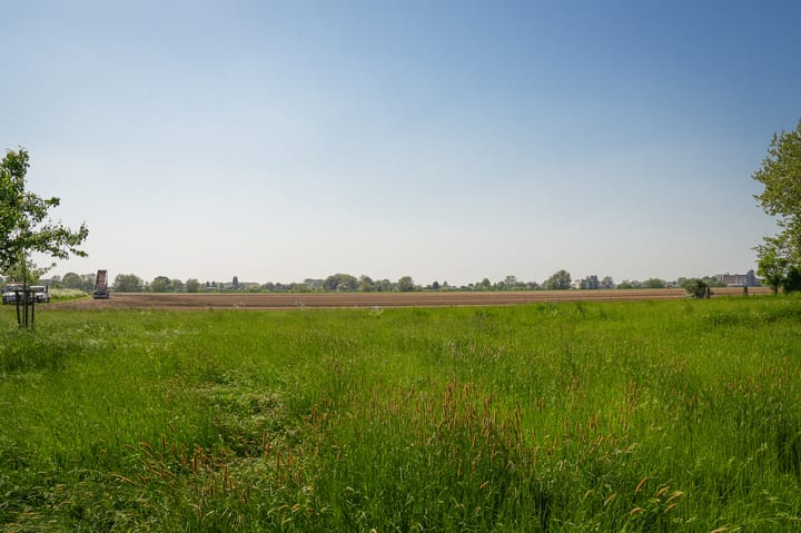 Foto 39 van Maasdijk 71