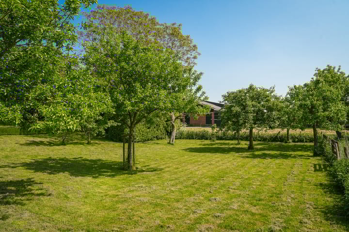 Foto 41 van Maasdijk 71