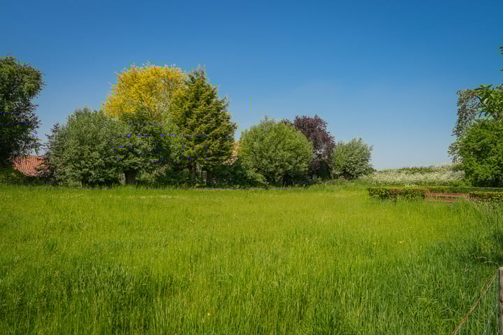 Foto 43 van Maasdijk 71