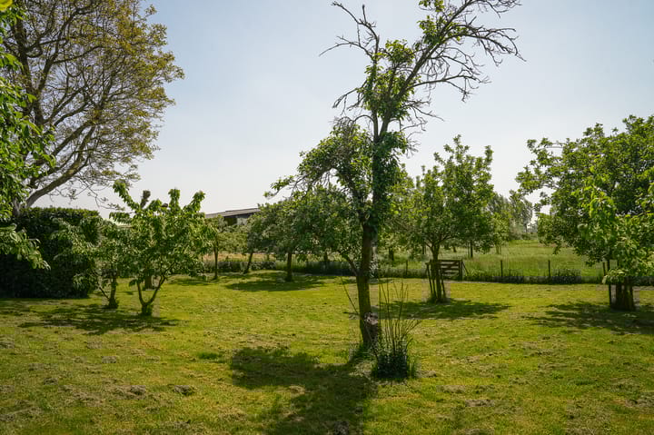 Foto 46 van Maasdijk 71