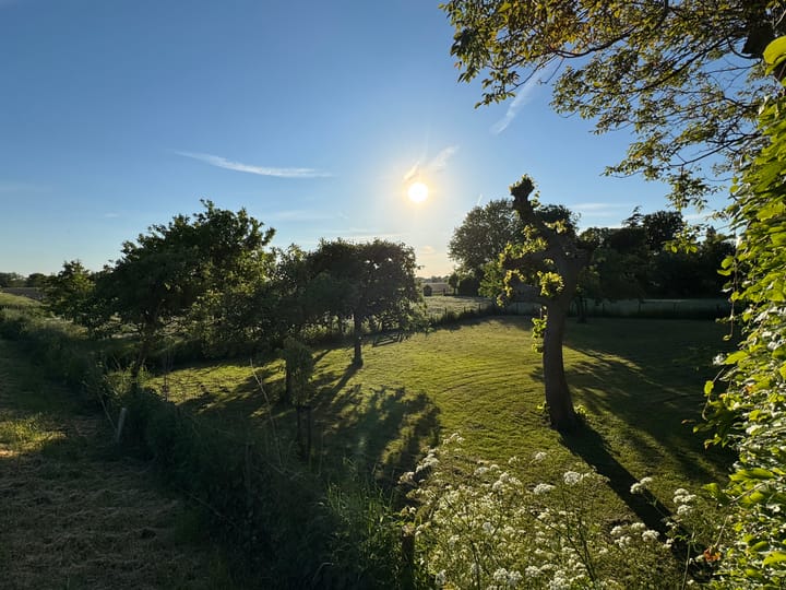 Foto 48 van Maasdijk 71