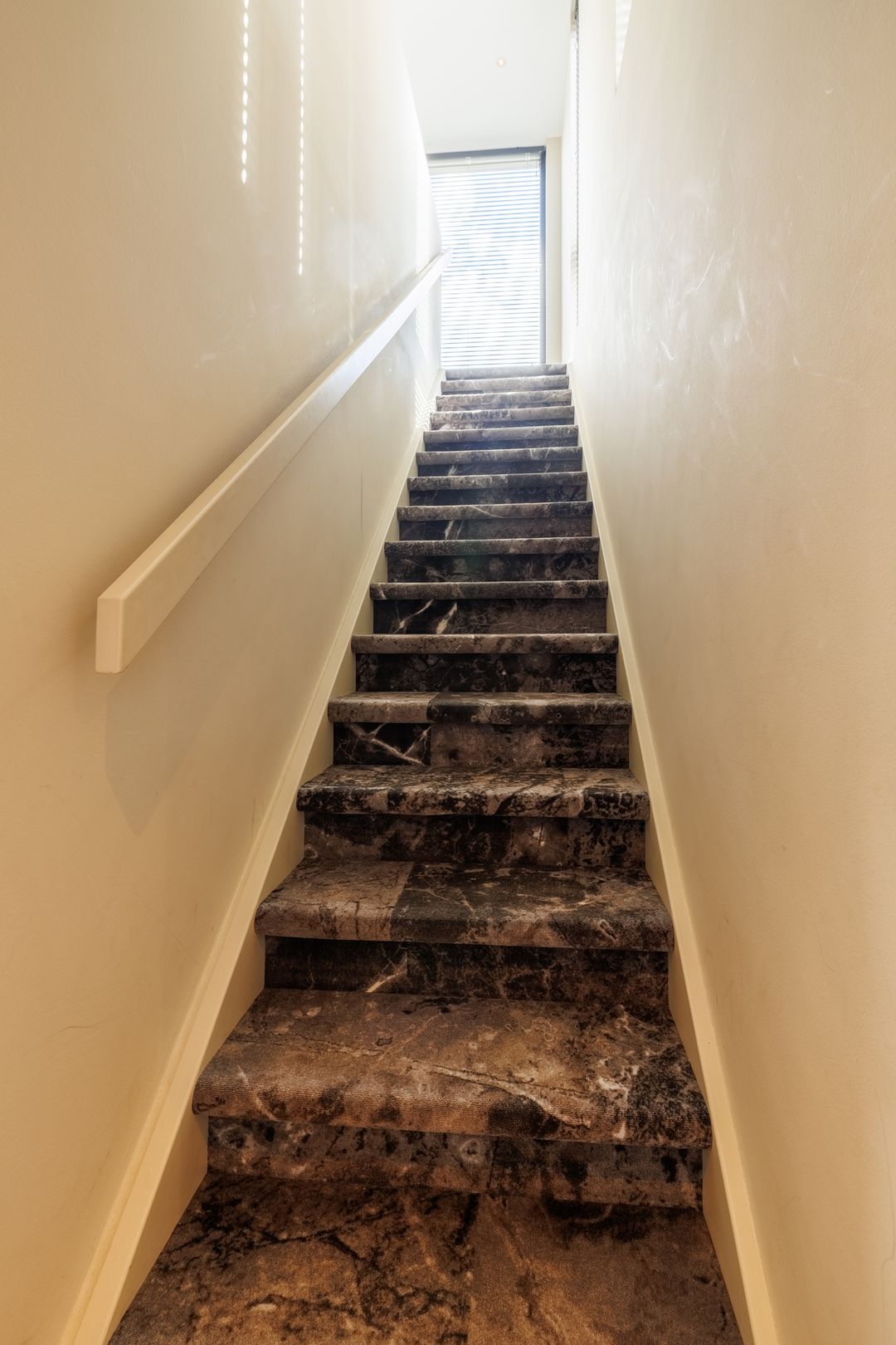 Foto 23 van Gebroeders van Steenbergenplantsoen 10