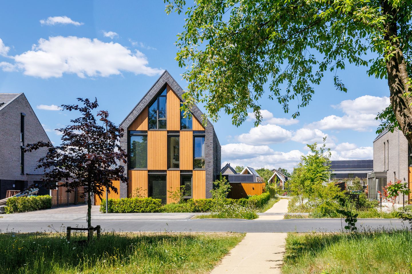 Foto 59 van Gebroeders van Steenbergenplantsoen 10