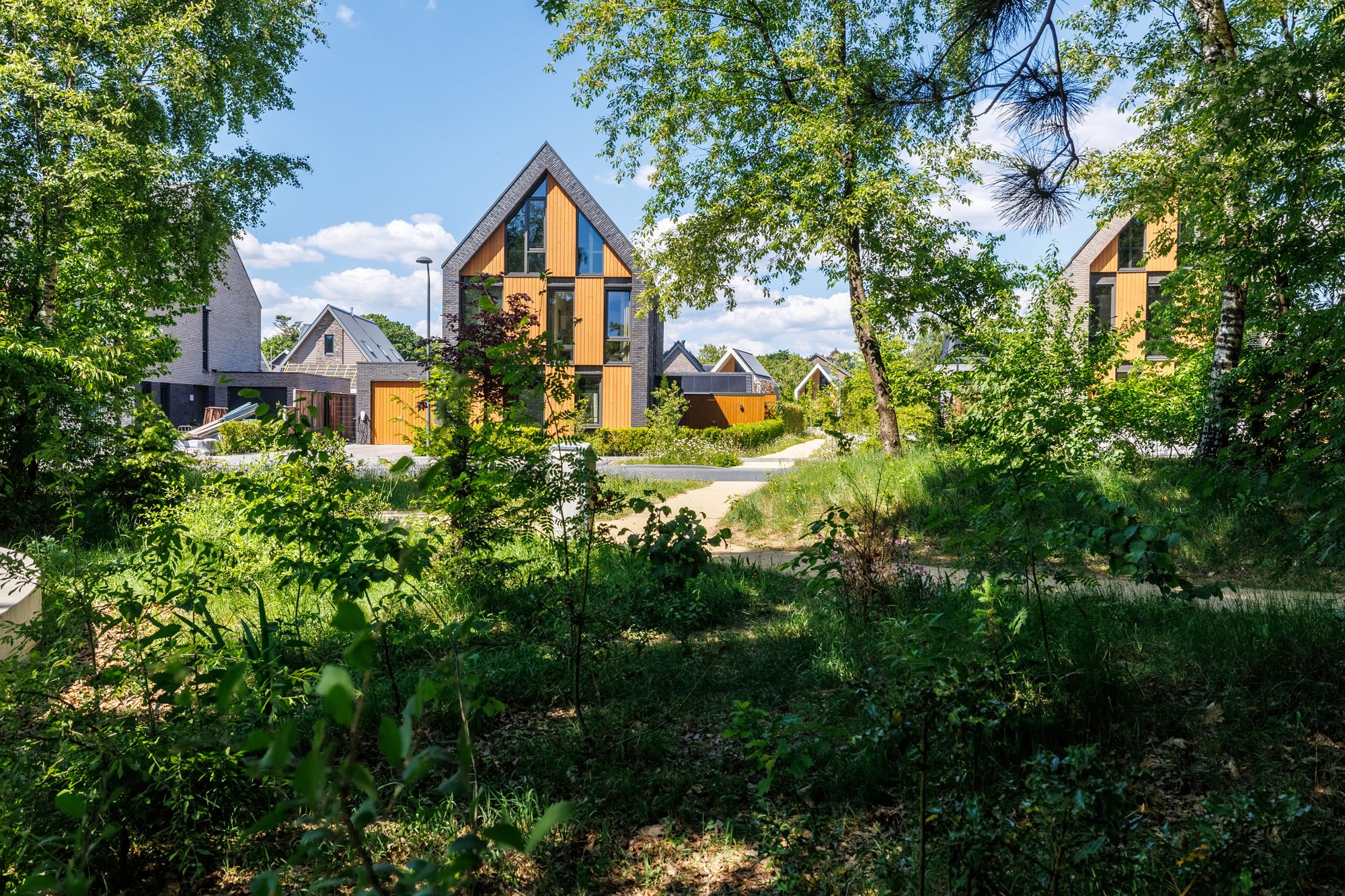 Foto 60 van Gebroeders van Steenbergenplantsoen 10