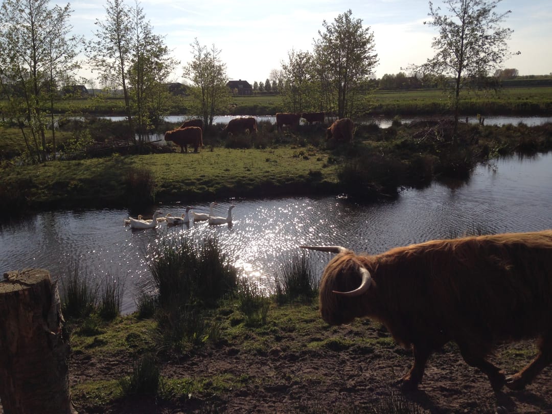 Photo 47 of Mostheuvelstraat 69