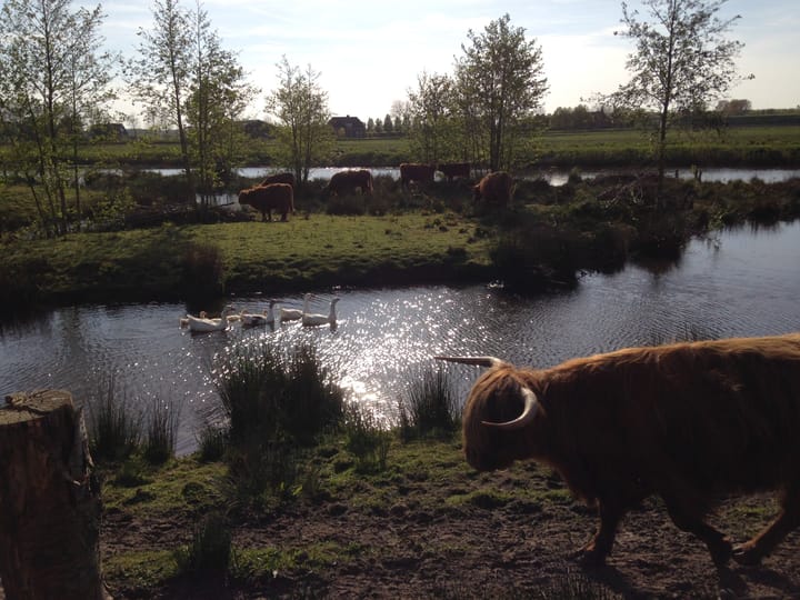 Foto 47 van Mostheuvelstraat 69