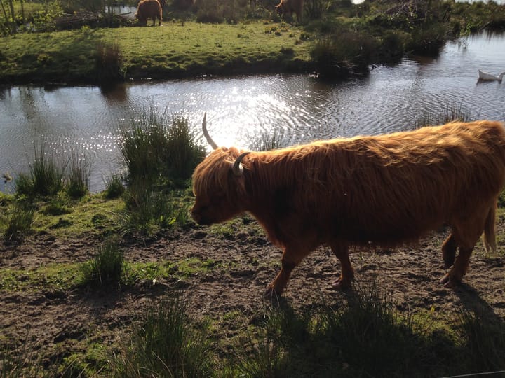 Foto 48 van Mostheuvelstraat 69