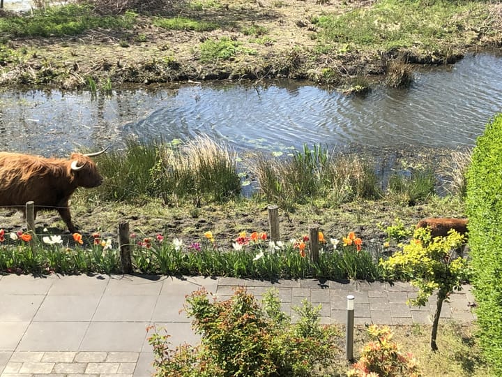 Foto 49 van Mostheuvelstraat 69