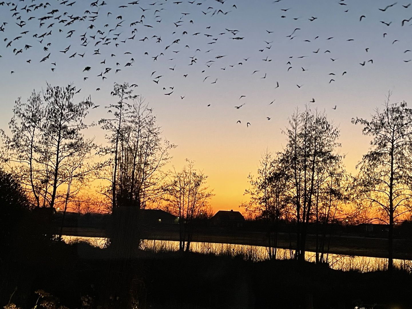 Photo 50 of Mostheuvelstraat 69