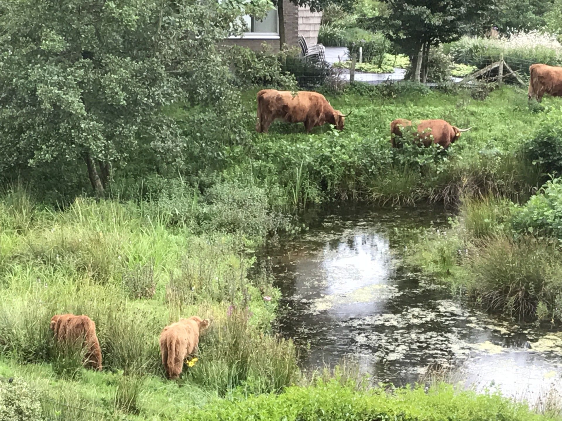 Photo 51 of Mostheuvelstraat 69