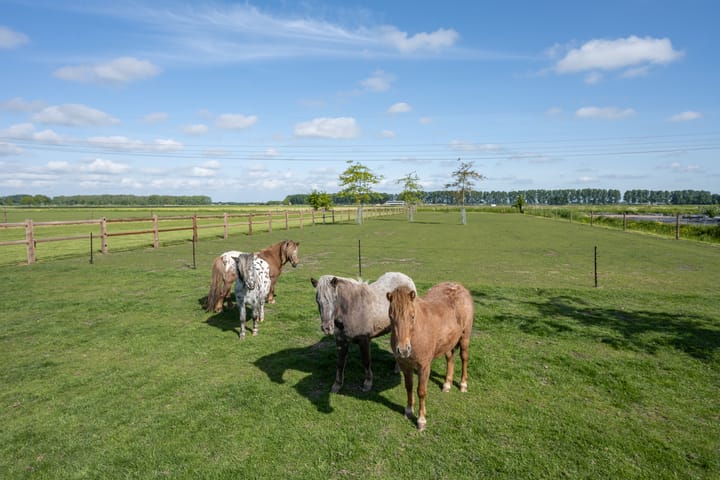 Photo 17 of De Hoeven 60-E