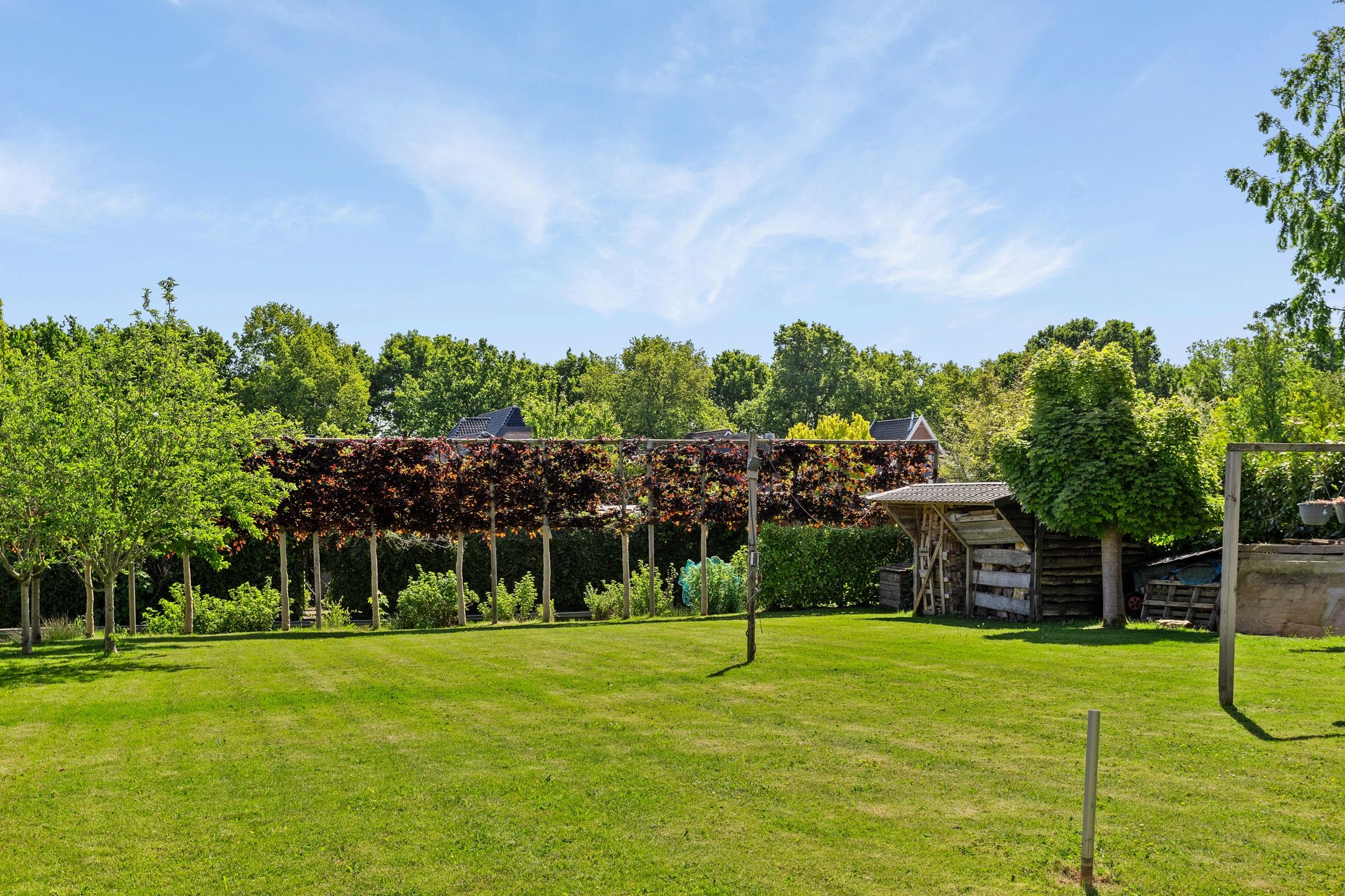 Foto 54 van Molenwijk OZ 42