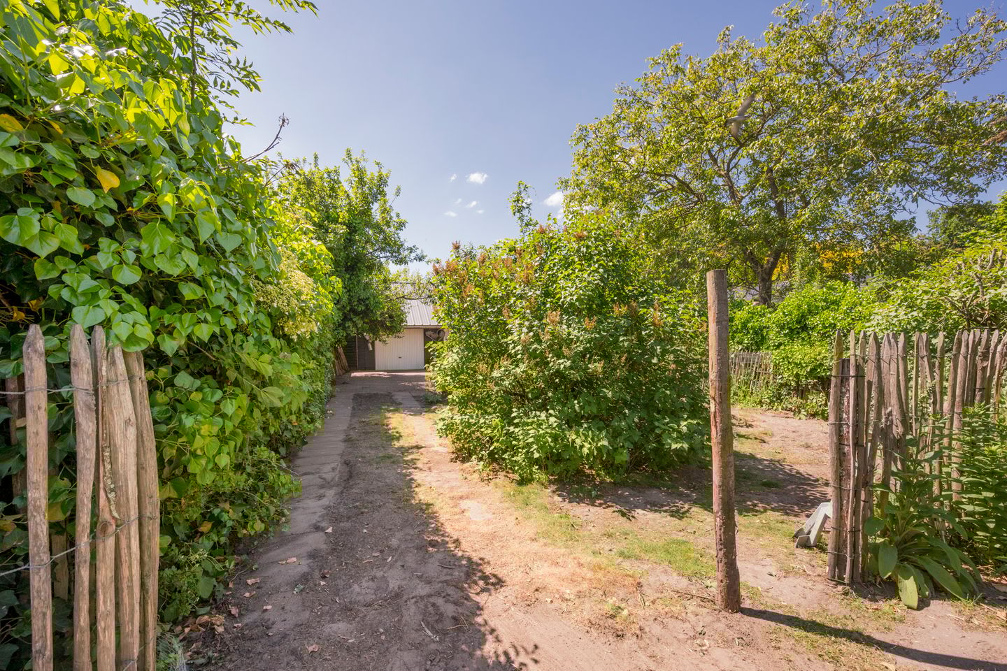 Foto 4 van Holkerweg 70