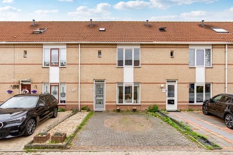 undefined main image