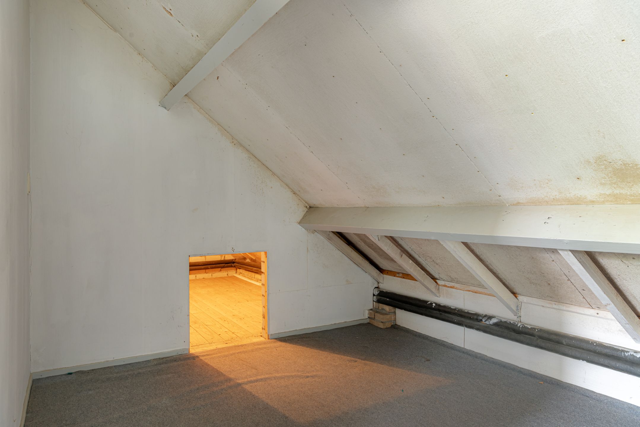 Foto 21 van C F Engelhardstraat 33