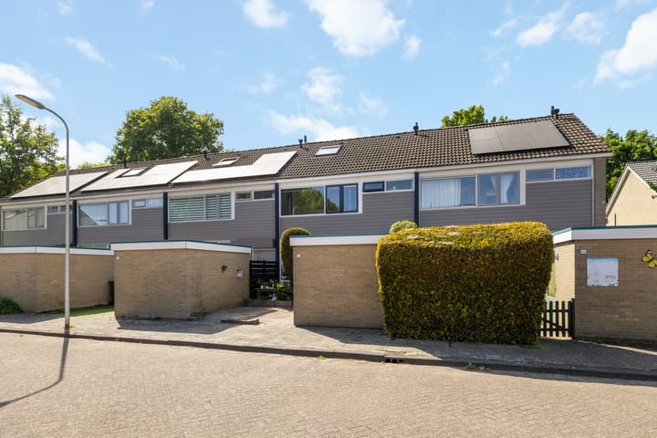 Foto 2 van de Maten 36