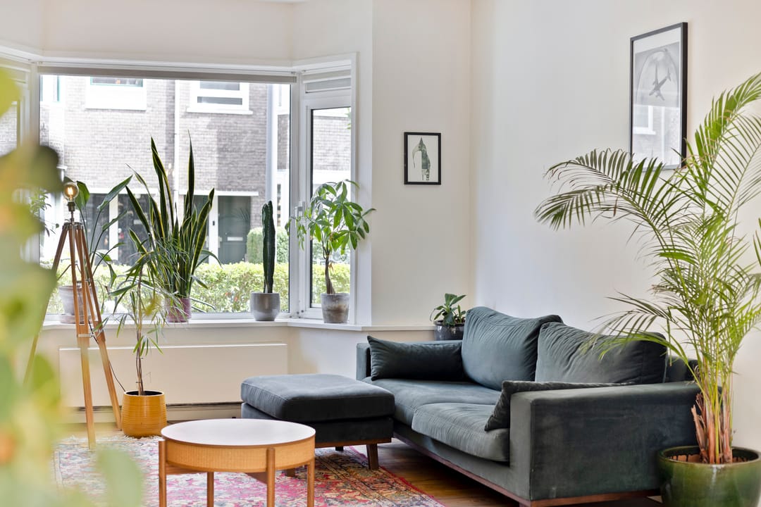 Foto 8 van Hagedoornstraat 14-A