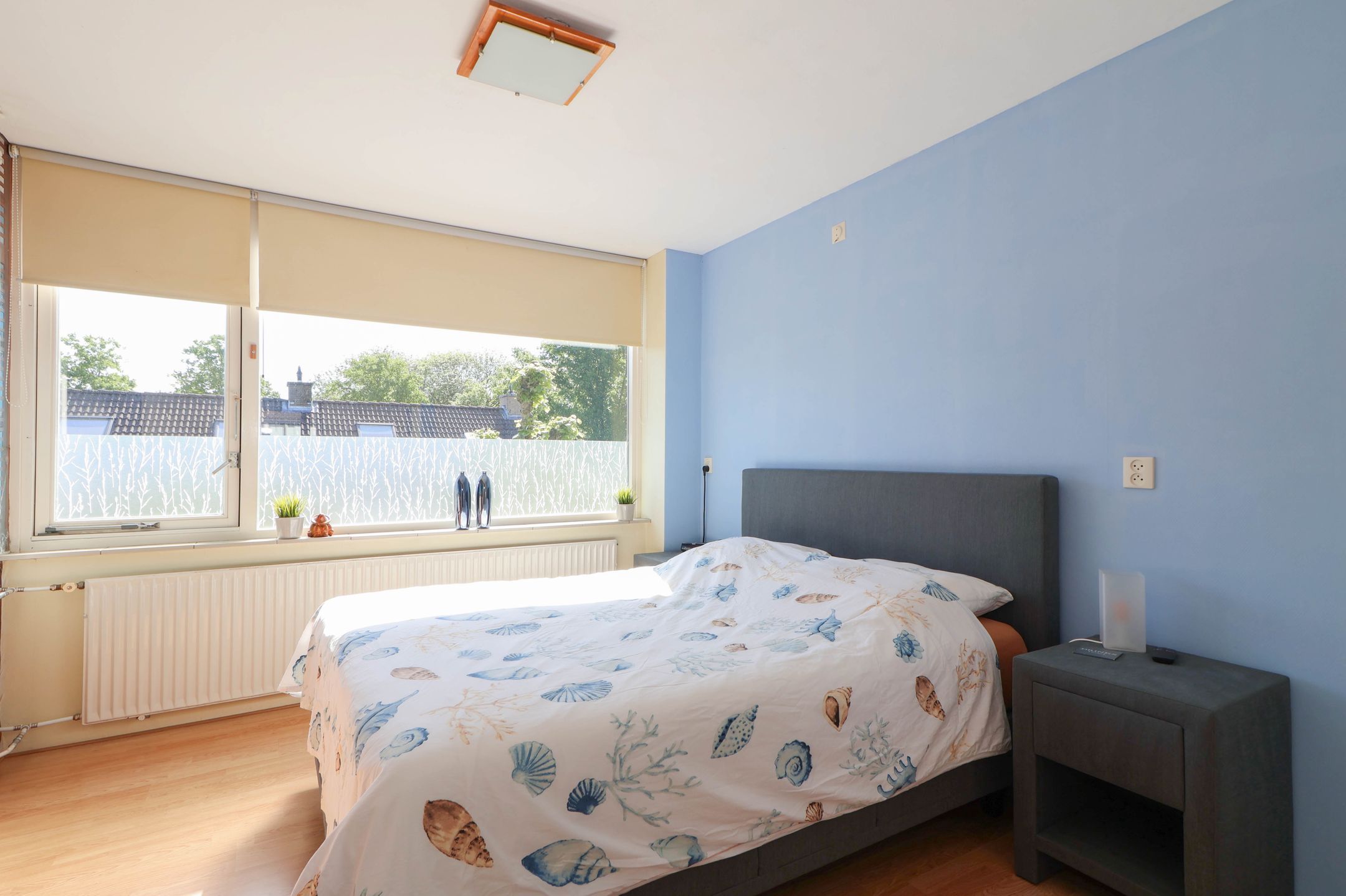 Foto 12 van Bizetstraat 29