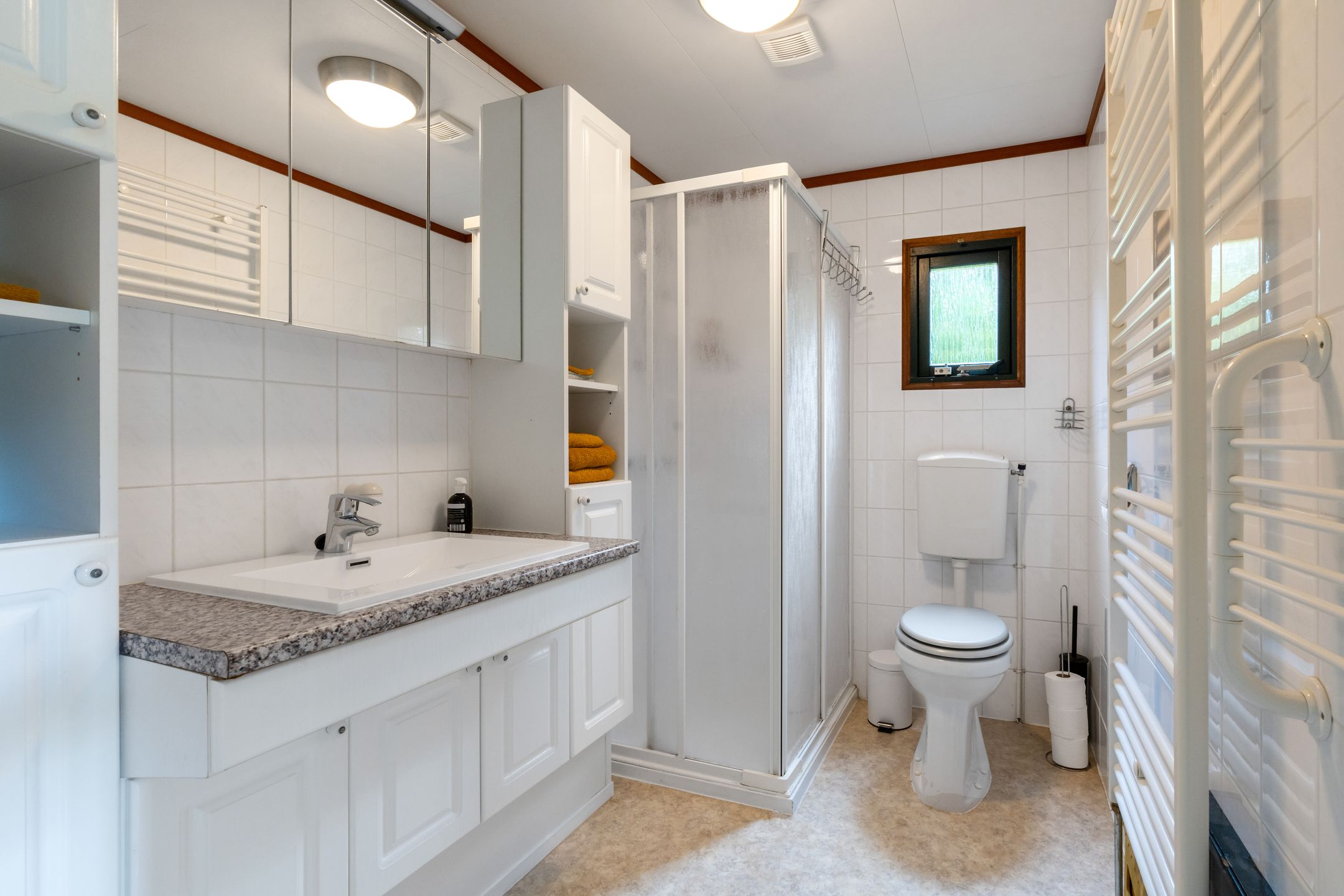 Foto 12 van Kievit 12-B484