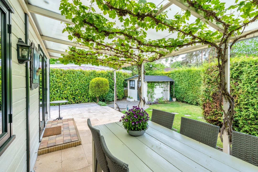 Foto 17 van Kievit 12-B484