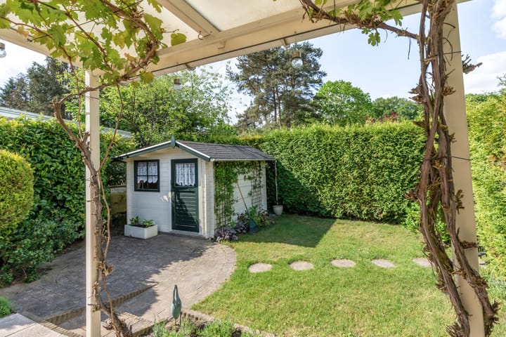 Photo 18 of Kievit 12-B484