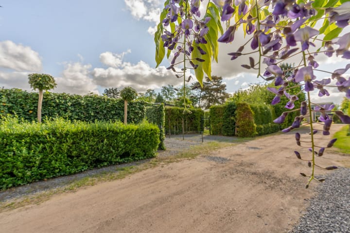 Photo 19 of Kievit 12-B484