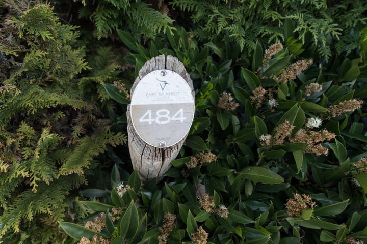 Photo 20 of Kievit 12-B484