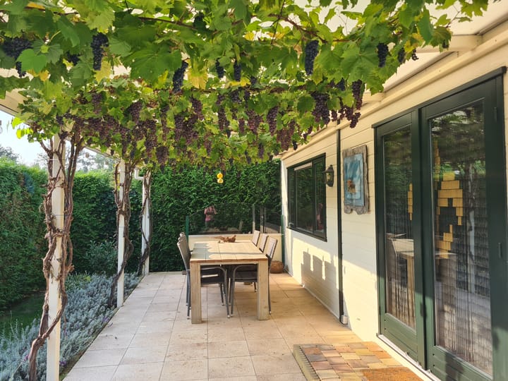 Photo 21 of Kievit 12-B484