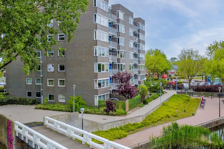 Photo 24 of Graan voor Visch 16103