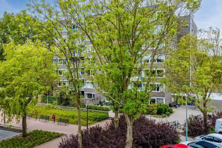 Photo 20 of Graan voor Visch 16103