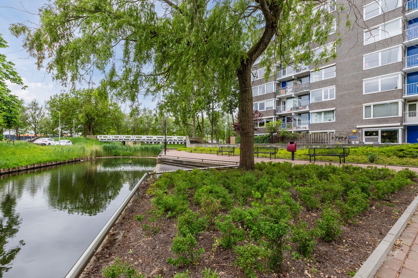 Foto 19 van Graan voor Visch 16103