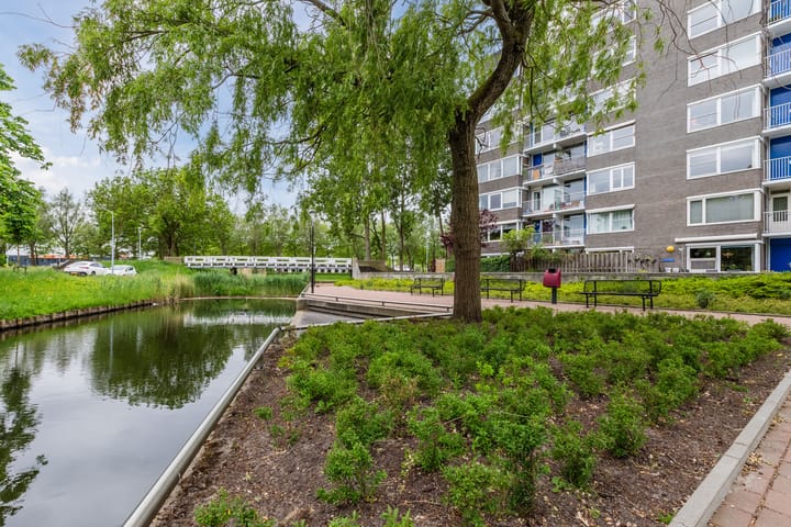 Photo 19 of Graan voor Visch 16103