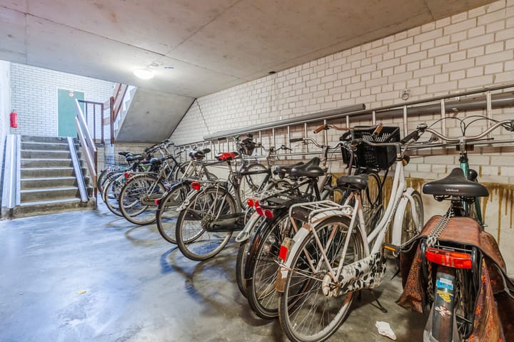 Photo 28 of Graan voor Visch 16103