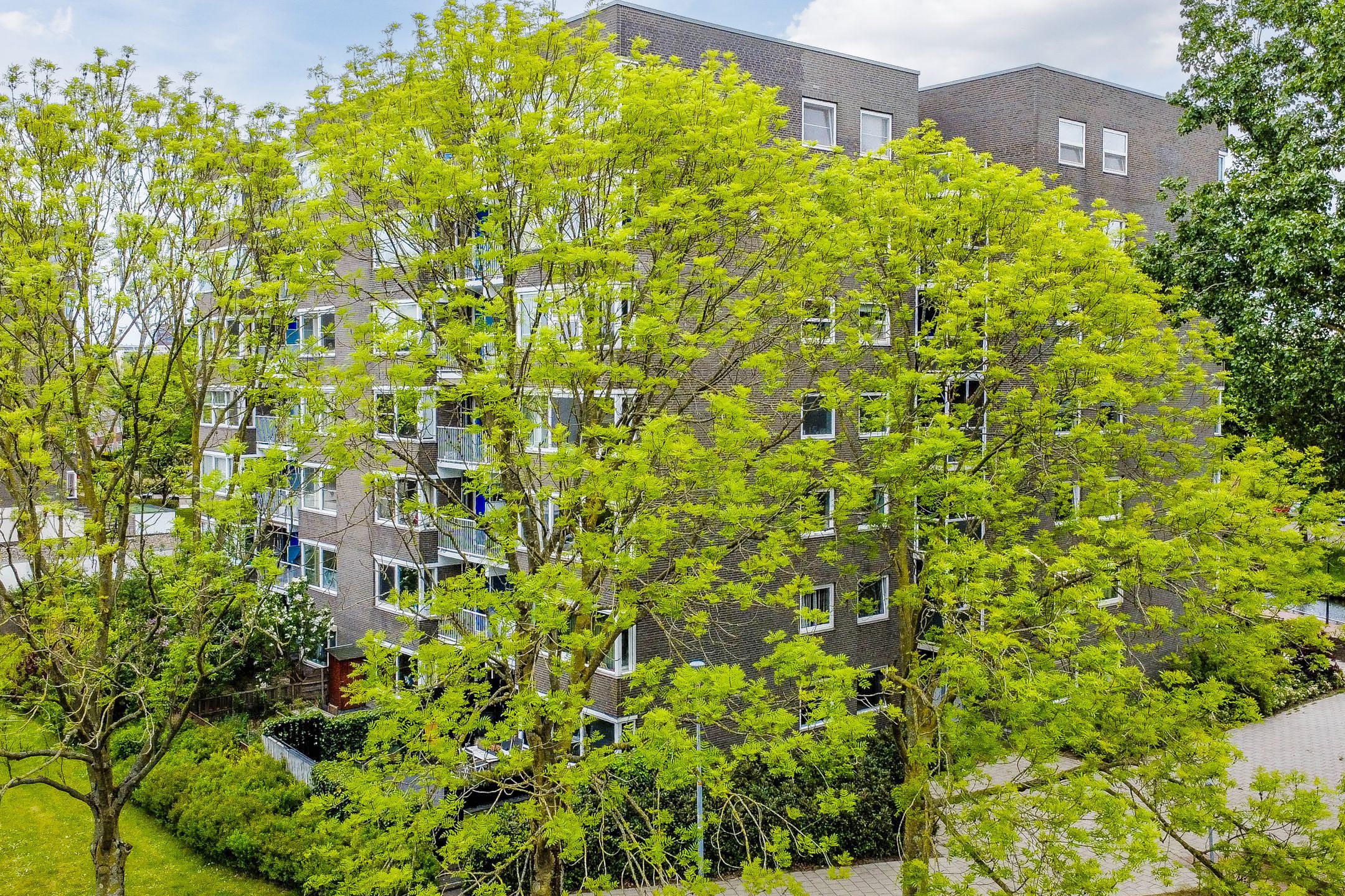 Foto 33 van Graan voor Visch 16103