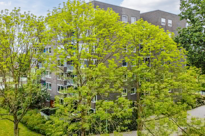 Photo 33 of Graan voor Visch 16103