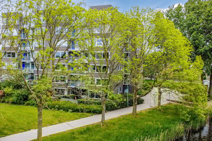 Photo 34 of Graan voor Visch 16103