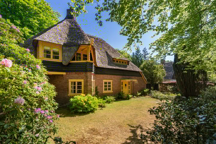 Photo 9 of Studler van Surcklaan 17