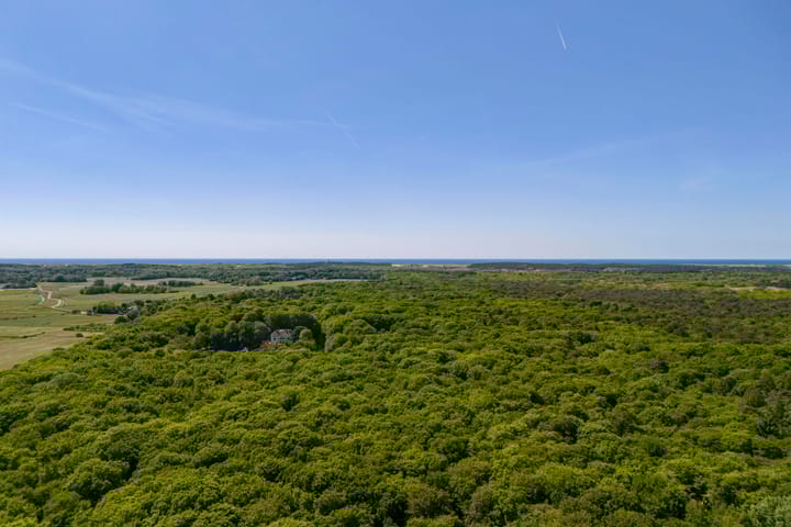 Photo 63 of Studler van Surcklaan 17