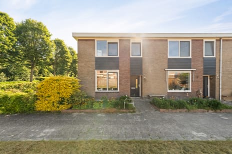 undefined main image