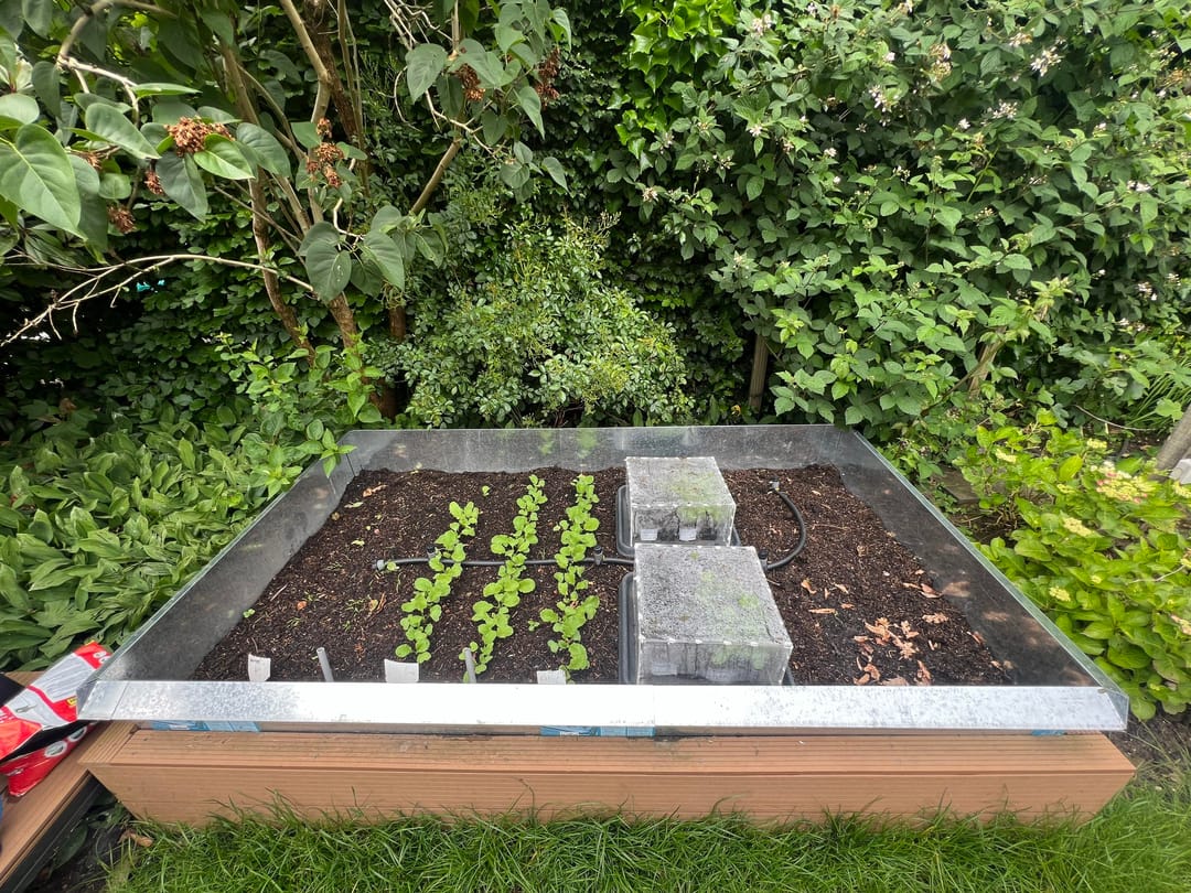 Foto 31 van Annabellastraat 41