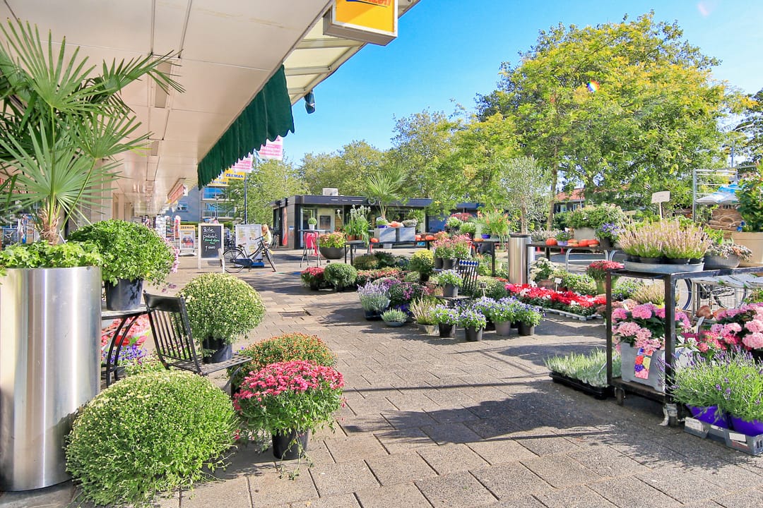 Foto 62 van Chr. Huygensstraat 26