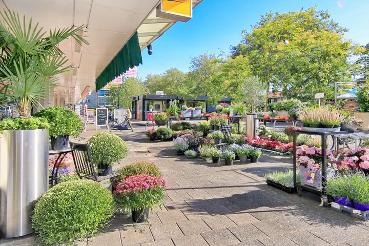 Foto 62 van Chr. Huygensstraat 26