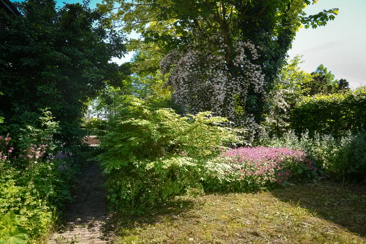 Foto 30 van Groenewal 15